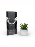 Eau de Parfum Good Sense Victory Pour Homme - Close 2 - 100ml